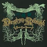 DESTROY REBUILD