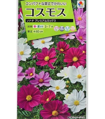Amazon.co.jp: コスモス（秋桜） 種 【 ソナタ プレミアムミックス