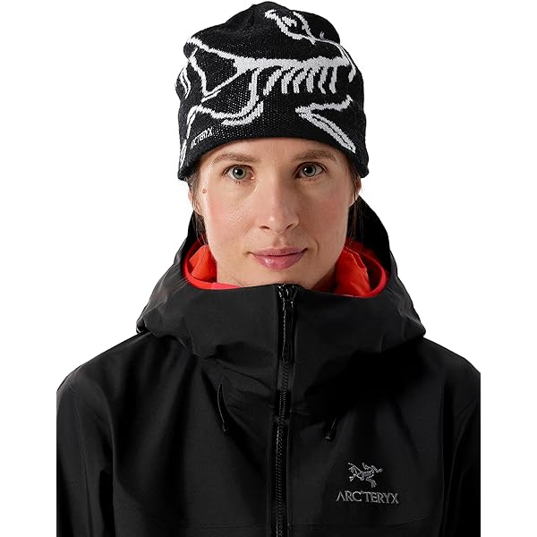 Amazon | [ARC'TERYX] Bird Head Toque Blue Tetra：Pytheas