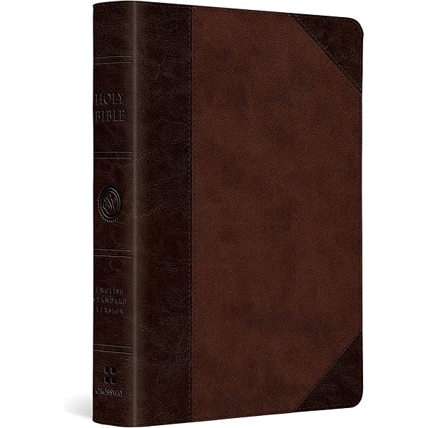 Amazon | ESV Large Print Compact Bible, Red Letter (Buffalo