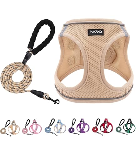 Amazon | AZERIA(アゼリア) サロペットハーネス ハーネス ケミカル