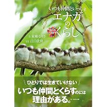 Amazon.co.jp: 森でつながる エゾモモンガ (命のつながり 8) : 原田佳