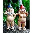 BBdis 2 PCS Naked Gnomes Statues, 4.7 Inch Naughty Garden Gnome Funny Statue for Home Indoor or Outdoor Lawn Gnome Decoration