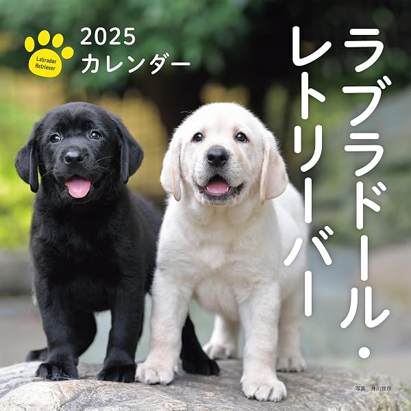 Amazon.co.jp: ラブラドール・レトリバー 2026年 カレンダー
