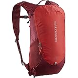 [サロモン] バックパック・リュックサック TRAILBLAZER 10 (トレイルブレイザー 10L)