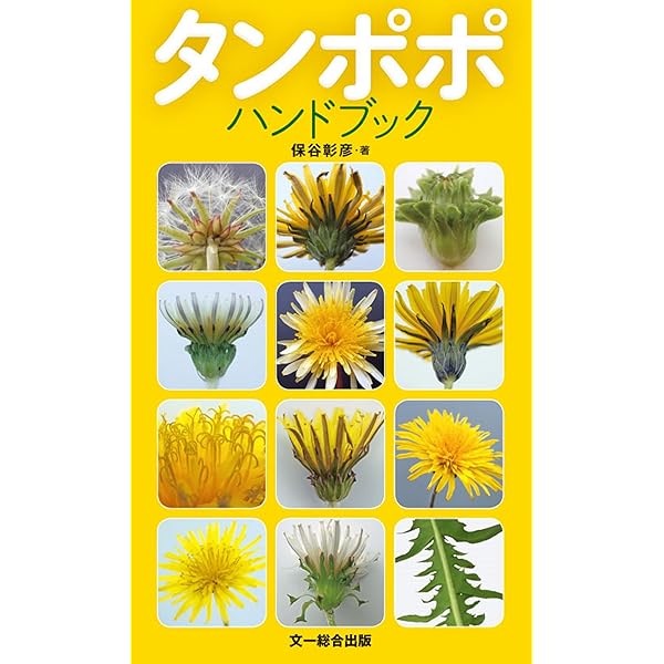 わたしのタンポポ研究 | 保谷 彰彦 |本 | 通販 | Amazon