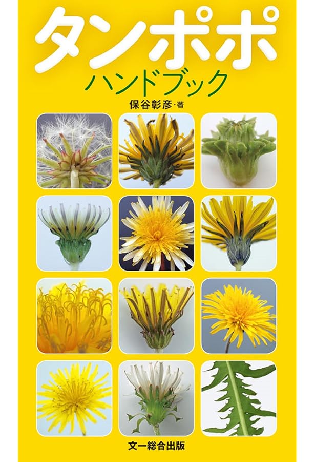 たんぽぽの秘密 | 森乃おと, ささきみえこ |本 | 通販 | Amazon