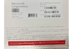 DSP版 Windows 11 Pro 日本語版 Professional 永続ライセンス DVD インストール