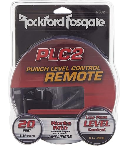 Amazon.co.jp: Rockford Fosgate P500X1BD ロックフォード アンプ