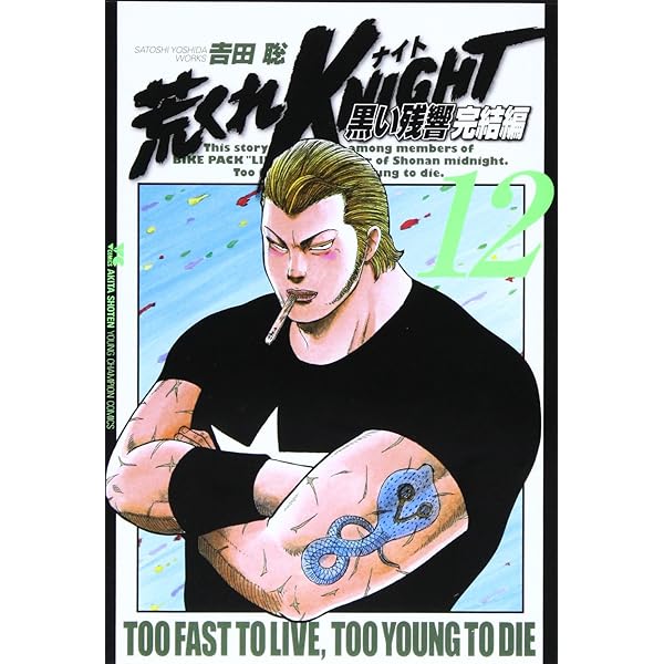 荒くれKNIGHT 黒い残響完結編(19): ヤングチャンピオン・コミックス