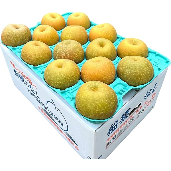 Amazon.co.jp: 高知県梨の名産地 針木・黒岩・春野から 高知特産