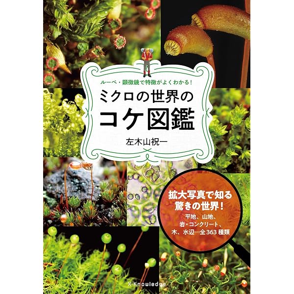 ミクロの世界を探検しよう (ミクロワールド大図鑑) | 宮澤 七郎, 医学