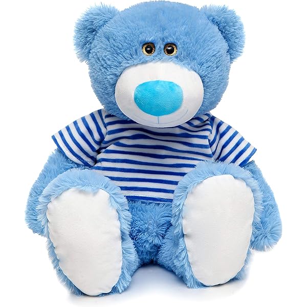 MaoGoLan Toys Studio 24 inch Blue Teddy 