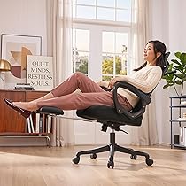 オフィスチェア メッシュ ハイバック フットレスト付き 135°リクライニング デスクチェア 調節可能ランバーサポート ヘッドレスト 静音キャスター 耐荷重150kg 在宅ワーク ブラック Amazon.co.jp: 【公式】Lomurae オフィスチェア メッシュ ハイバック