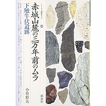 新しい旧石器研究の出発点・野川遺跡 (シリーズ「遺跡を学ぶ