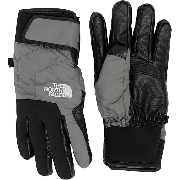 Amazon | THE NORTH FACE(ザノースフェイス) 手袋 Earthly Glove
