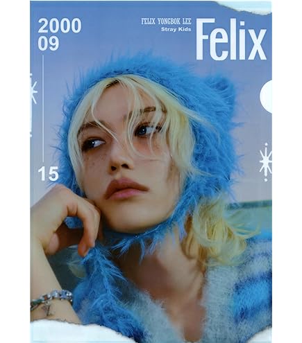 Amazon.co.jp: ストレイキッズ フィリックス パノラマポスター (Stray