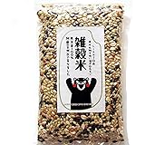 雑穀米 [ 黒米 赤米 緑米 発芽玄米 ひえ きび あわ 押麦 ] 熊本産 真空パック 残留農薬ゼロ 保存便利なチャック付き 【 国産 】 【 熊本地震 復興支援 】 500g