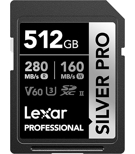 Amazon | Lexar 512GB Professional Silver SE CFexpress Type B