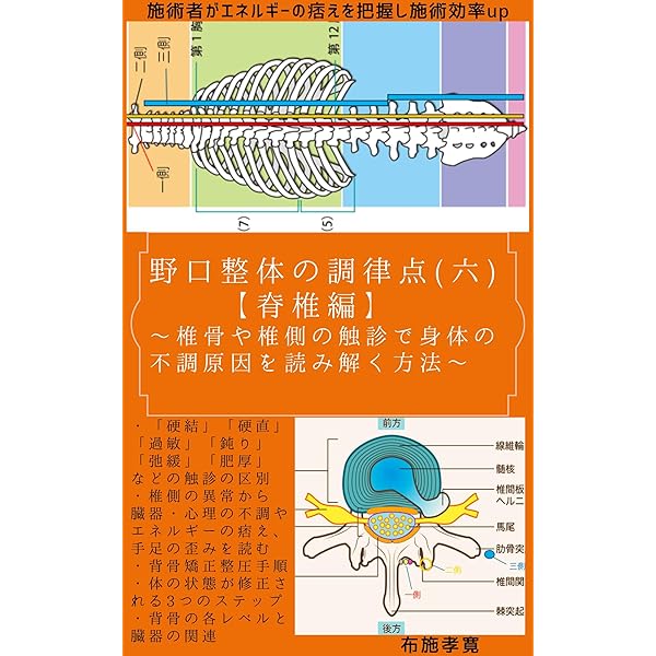 野口整体の調律点（五）【骨盤編】: ～骨盤の歪む理由と骨盤矯正