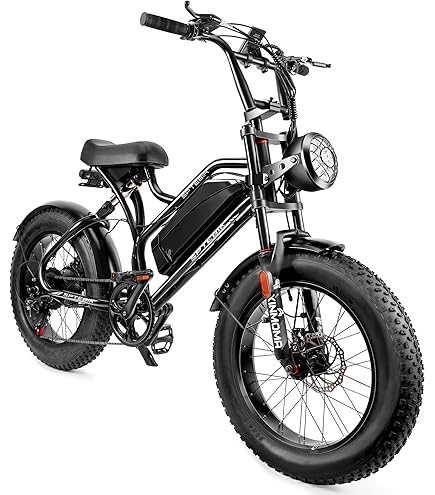 HOUPET 電動アシスト自転車 ブラック HOUPET 電動アシスト自転車 ブラック