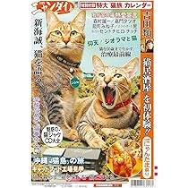 日刊ゲンダイ特別号「日刊ニャンダイ2024」(2024年2月15日発行) | 日刊