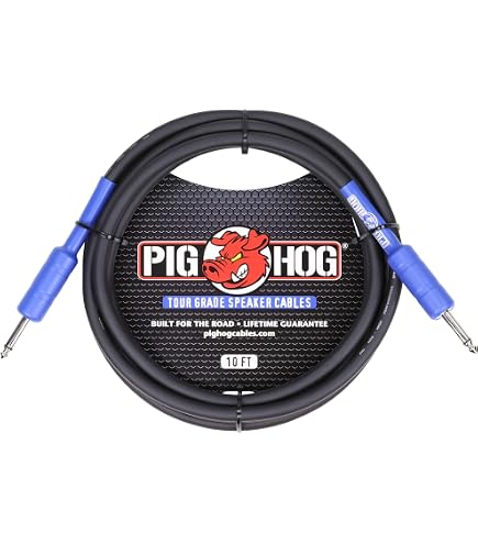 Amazon.co.jp: RADIAL Reamp JCR パッシブ リアンプ : 楽器・音響機器