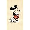 ミッキーマウス ディズニー - ミッキーマウス QHD(540×960)壁紙 9430