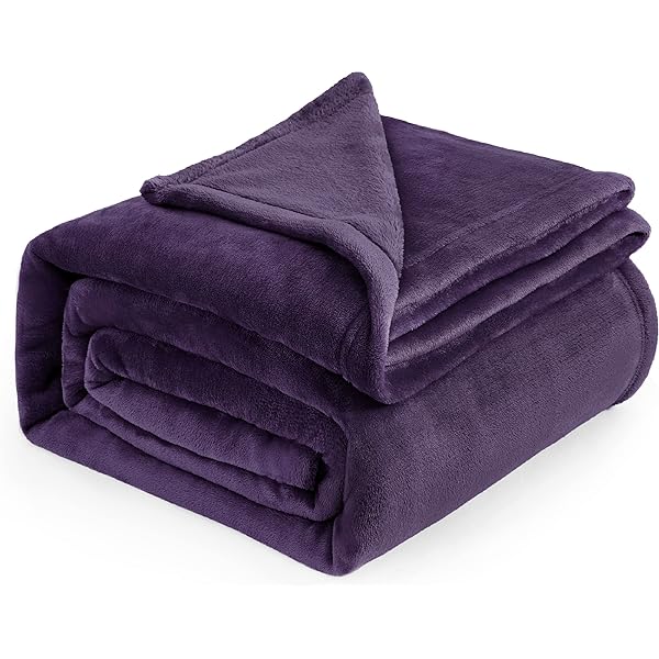 Bedsure Fleece Blanket Queen Blanket Purple - Bed Blanket Soft Lightweight  Plush Fuzzy Cozy Luxury Microfiber, 90x90 inches : Amazon.sg: Home