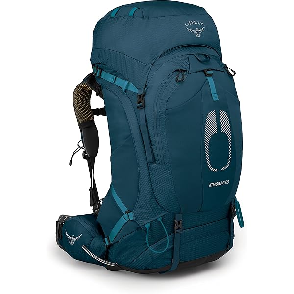 オスプレイ ケストレル38 レインカバー 登山 リュック ザック バックパック Amazon.co.jp: OSPREY バックパック リュック 登山 ハイキング