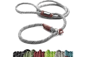 Friends Forever Extremely Durable Dog Rope Leash, Premium Quality Training Slip Lead, Reflective, Thick Heavy Duty, Sturdy, No Pull, Comfortable For The Strong Large Medium Small Pets 6 feet, Silver