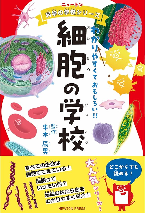 ニュートン科学の学校シリーズ 元素の学校 | 桜井 弘 |本 | 通販 | Amazon