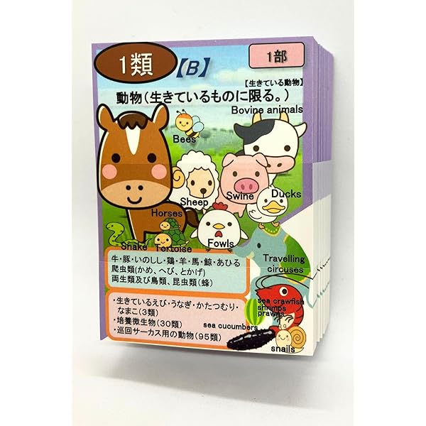 TAC 2024年 通関士試験 DVDセット 71zaF3aGYxL._AC_UL210_SR210,