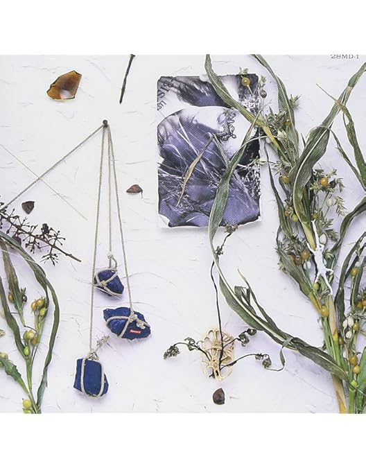 Amazon.co.jp: LIVE Another Summer [DVD] : 真島昌利, 真島昌利: DVD