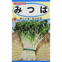 81MZhgGLfpS._AC_UL210_SR210,