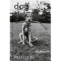 Elliott Erwitt: Home Around the World : Erwitt, Elliott, McDonald