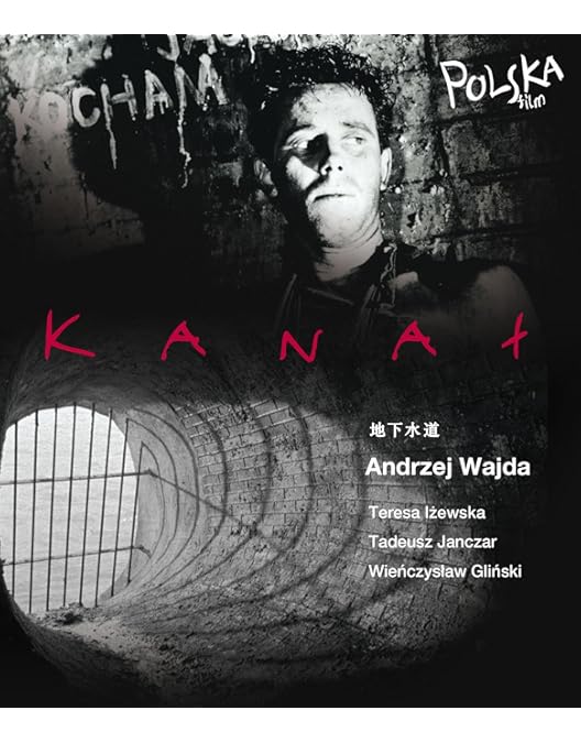 Amazon.co.jp: アンジェイ・ワイダ DVD-BOX 1 (世代／地下水道