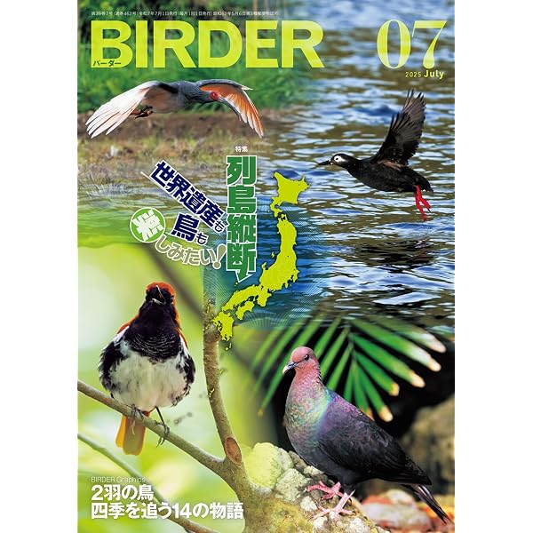 BIRDER（バーダー）2025年8月号 鶏（ニワトリ）と鶉（ウズラ