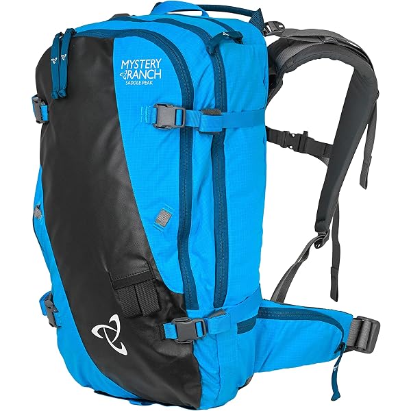 Amazon.co.jp: OSPREY(オスプレー) キャンバー30 OS52300 アルパイン