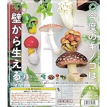 今度のキノコは壁から生えるキノコマグネット1&amp;2ガチャ　フルコンプ　ナメコエノキ Amazon | 今度のキノコは壁から生える キノコマグネット1