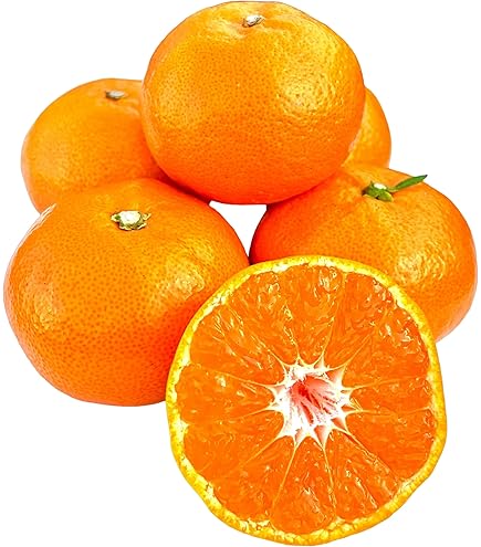 Amazon.co.jp: 福岡産 山川みかん 博多マイルドみかん 赤秀 Sサイズ