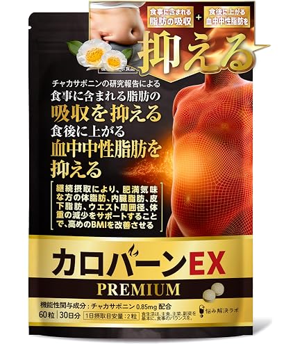 Amazon.co.jp: 掃除機 コードレス【2027先行バージョン 業界初独立