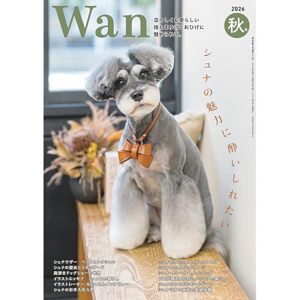Amazon | [ジェラートピケ キャットアンドドッグ]【CAT&DOG】ベビモコ