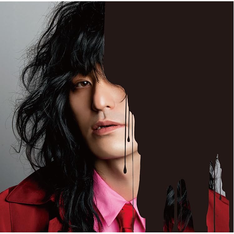 ドレスコーズ オーディション AUDITION 2枚組レコード ドレスコーズ オーディション AUDITION 2枚組レコード - メルカリ