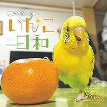 ルイ・イカール、にぎやかな鳥、豪華限定版・定価１０万円/額付 ルイ・イカール、にぎやかな鳥、豪華限定版・定価10/額付