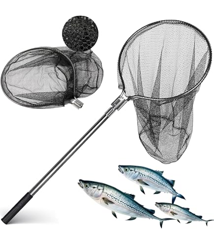 blisswill large fishing net Collapsible Fish Landing Net with Extendable Handle Knotless Nylon Fishing Net Safe Fish Net Durable Telescopic Dip Net for Fishing Sporting Goods quality 6063 Aluminum alloy anodized reel clamp Tobirama's Fishing Guide 1-80 Lb Test:25