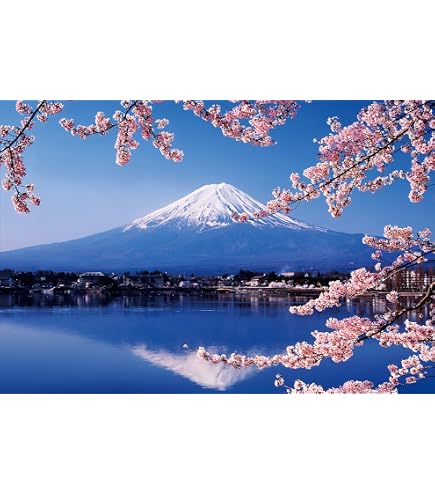 Amazon | 【日本の風景ポストカードLac et Soleil】ダイヤモンド富士