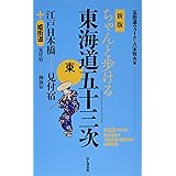 新版 ちゃんと歩ける東海道五十三次 東 江戸日本橋～見付宿 ＋姫街道