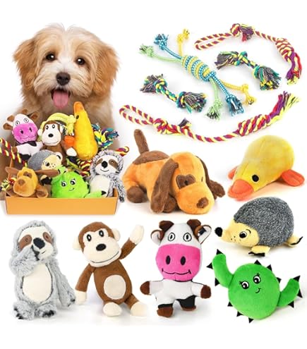 Amazon | ルークラン 犬用おもちゃ わくわくセット（おもちゃ