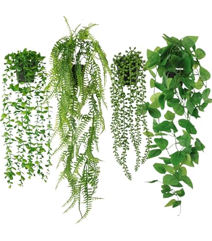 Amazon｜光触媒観葉植物 壁面緑化プミラ&ポトス 〔壁掛けタイプ